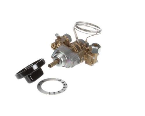 Electrolux Professional Robinet Thermostat.St24 890017 0M0885